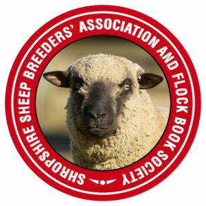 Shropshire sheep, head logo