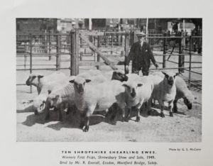 Shropshire Sheep, Shropshire history, Shrewsbury, Montford Bridge,
